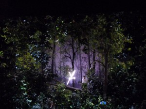 Parsifal in Woods